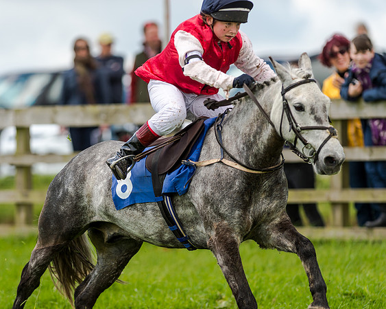Novice Riders 148cm Race -  Grafton Pony Races 15th May 2017
