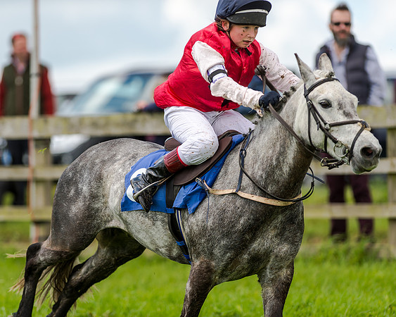 Novice Riders 148cm Race -  Grafton Pony Races 15th May 2017