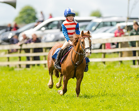 Novice Riders 148cm Race -  Grafton Pony Races 15th May 2017