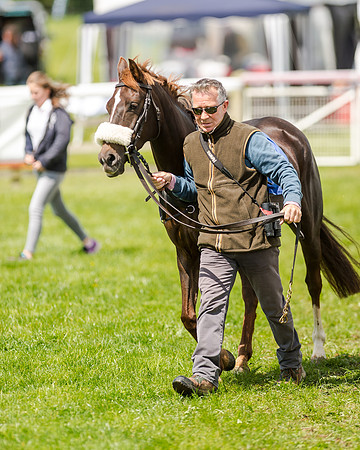 138cm Pony Race - Grafton Pony Races 15th May 2017