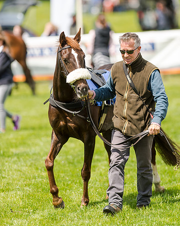 138cm Pony Race - Grafton Pony Races 15th May 2017