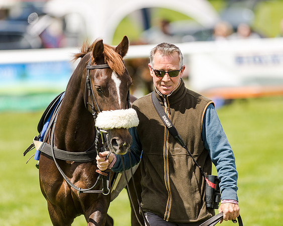 138cm Pony Race - Grafton Pony Races 15th May 2017