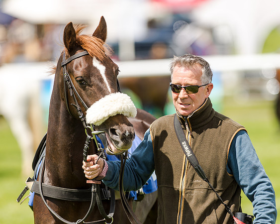 138cm Pony Race - Grafton Pony Races 15th May 2017