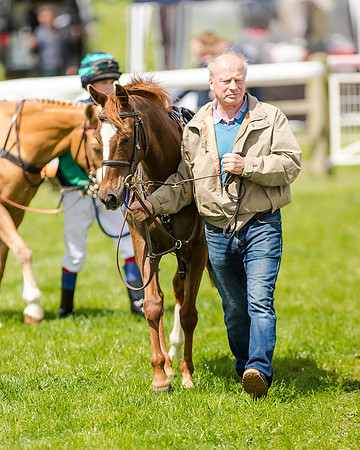 138cm Pony Race - Grafton Pony Races 15th May 2017