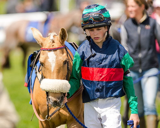 138cm Pony Race - Grafton Pony Races 15th May 2017