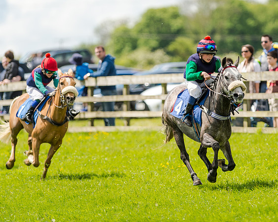 138cm Pony Race - Grafton Pony Races 15th May 2017