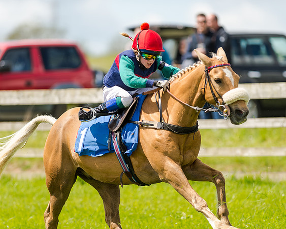 138cm Pony Race - Grafton Pony Races 15th May 2017