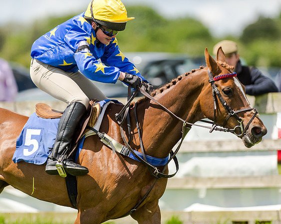 138cm Pony Race - Grafton Pony Races 15th May 2017