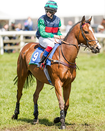Kimblewick Easter Meeting 2017