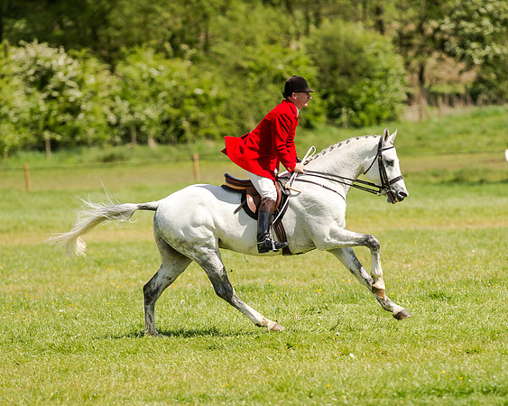 Intermediate Race