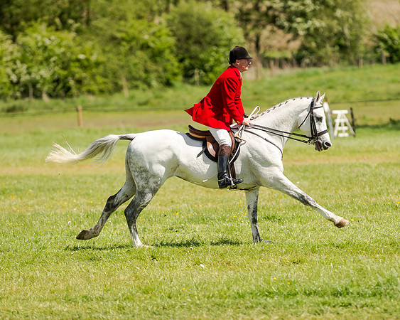 Intermediate Race