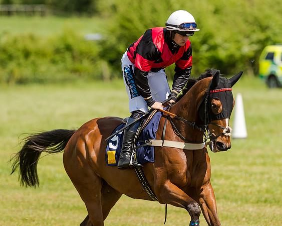 Intermediate Race