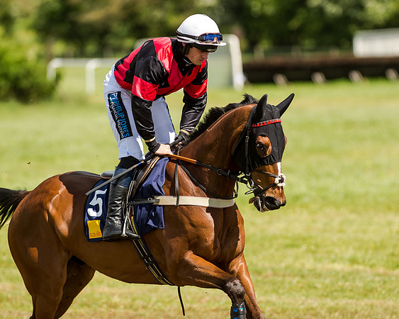 Intermediate Race