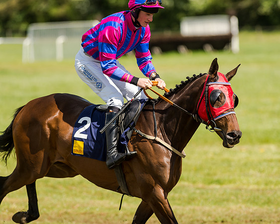 Intermediate Race