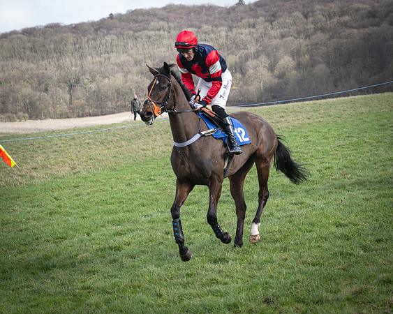 Race 1 - Four and Five year Old Maiden (63 of 137)