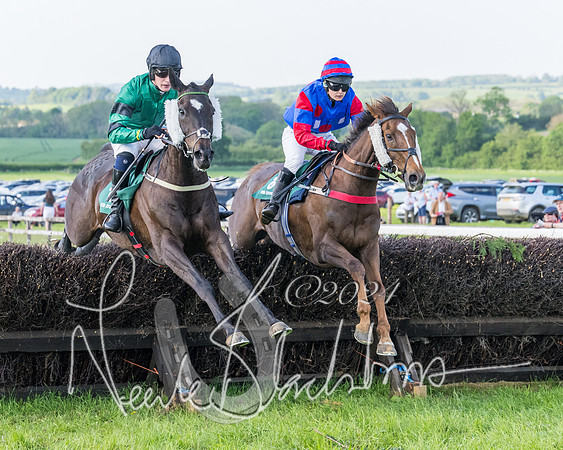 Race 7 - Veteran Horse (77 of 246)