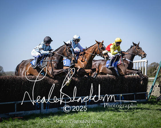 Race 2 - The Maiden (70 of 118)