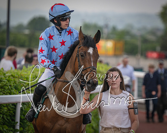 Race 5 - Mares Open Hunter Steeplechase 3m2f 70y (64 of 269)