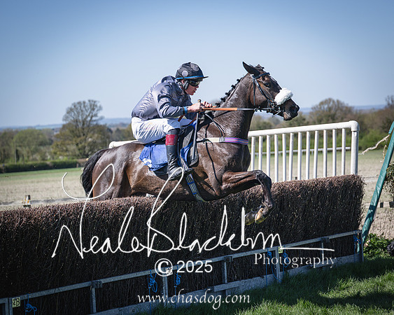 Race 2 - The Maiden (90 of 118)