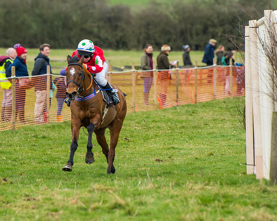 Pony Race 2 (54 of 162)