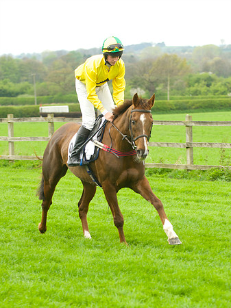 Race 3 - 4-5-6 Maiden 12