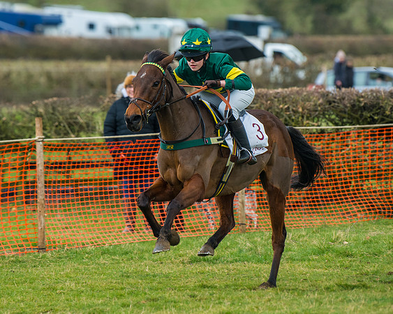 Pony Race 3 (58 of 67)