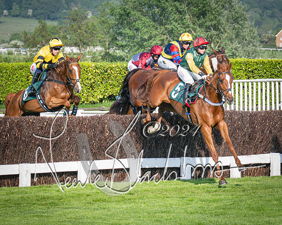 Race 3 - The Junior Jumpers open hunter's steeple chase 3m1f56y (51 of 156)