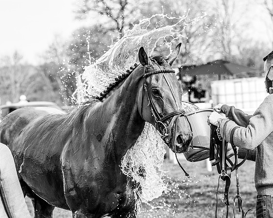 DSC_1003-2