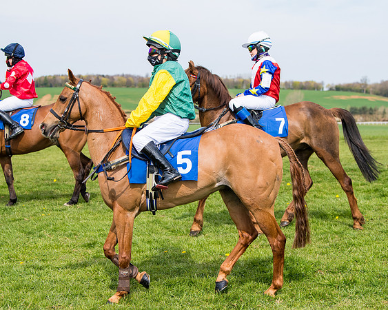 Pony Race 1 (8 of 179)