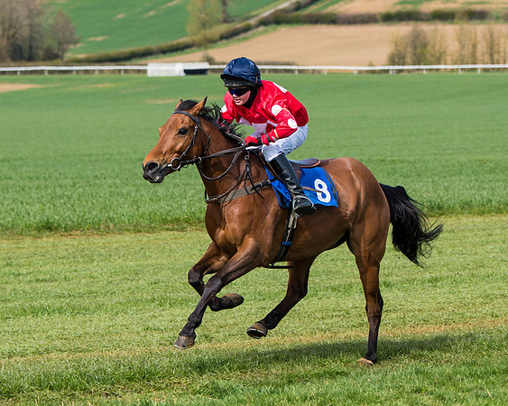 Pony Race 1 (44 of 179)