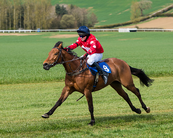 Pony Race 1 (46 of 179)
