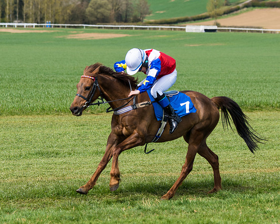 Pony Race 1 (51 of 179)