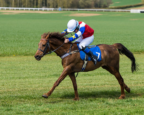 Pony Race 1 (52 of 179)