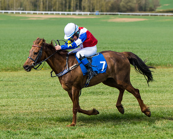 Pony Race 1 (53 of 179)