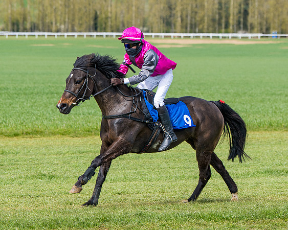 Pony Race 1 (54 of 179)