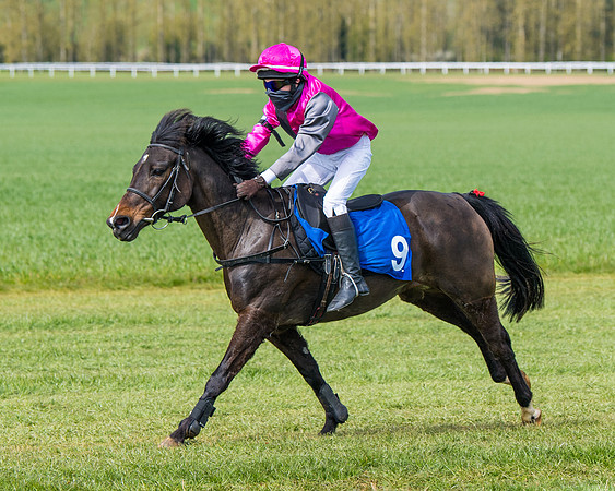 Pony Race 1 (55 of 179)