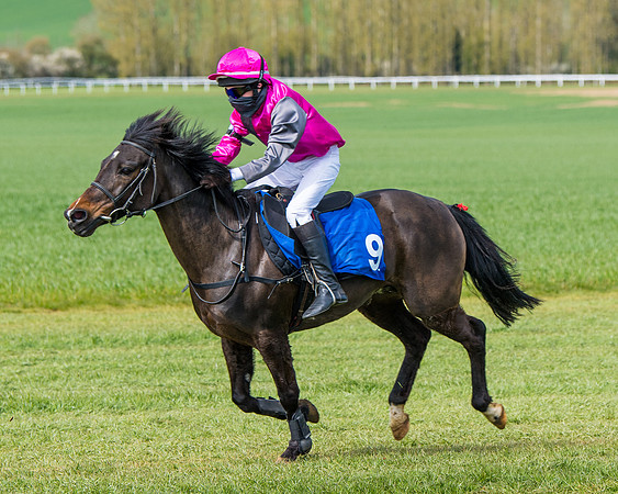 Pony Race 1 (56 of 179)