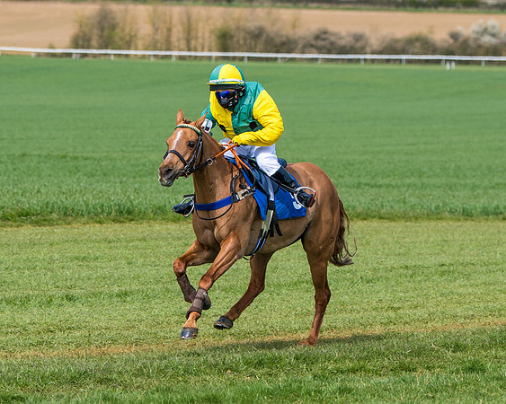 Pony Race 1 (57 of 179)