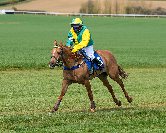 Pony Race 1 (59 of 179)