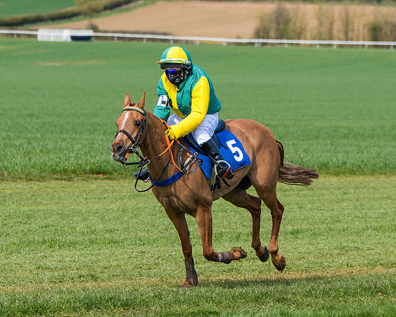 Pony Race 1 (60 of 179)