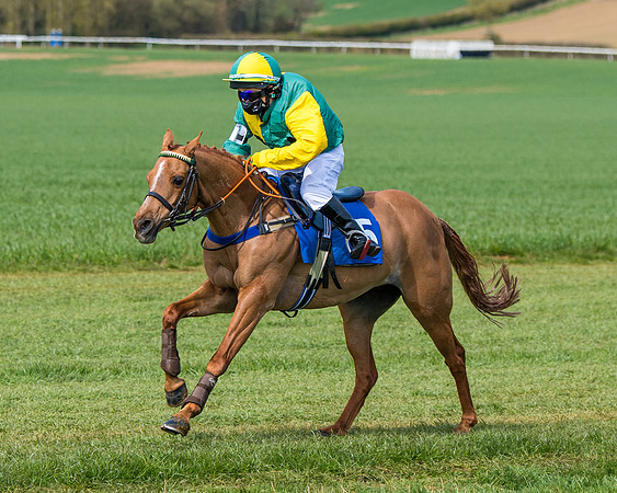 Pony Race 1 (61 of 179)