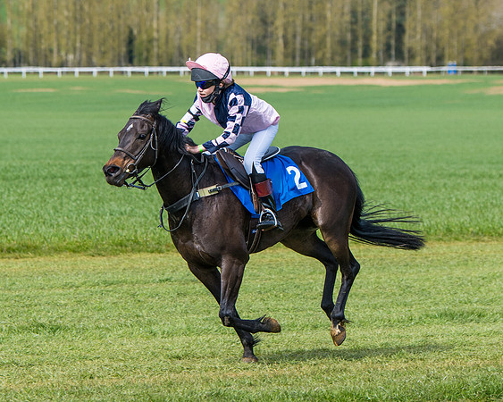 Pony Race 1 (63 of 179)