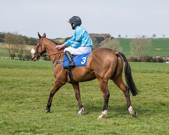 Pony Race 2 (20 of 93)