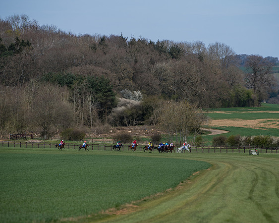 Pony Race 2 (41 of 93)