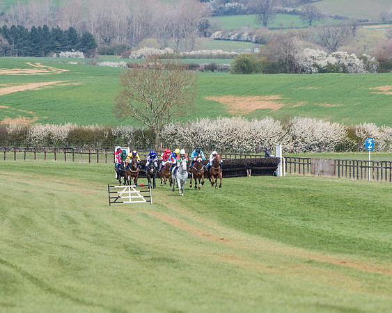 Pony Race 2 (45 of 93)