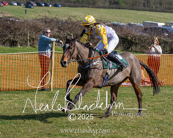 Pony Race 1 - Novice (17 of 38)