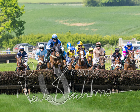 Race 2 - The Maiden  (133 of 442)