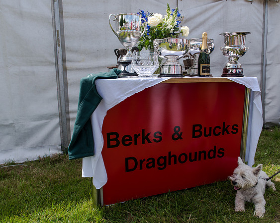 Berks and Bucks  (3 of 876)