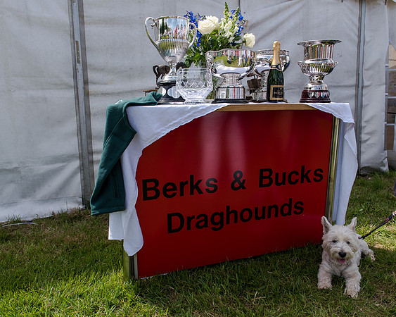 Berks and Bucks  (4 of 876)