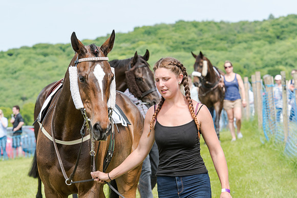 Berks and Bucks  (60 of 876)